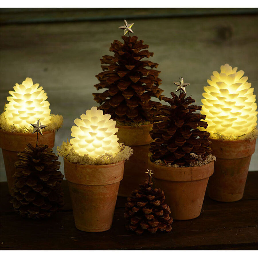 LED-beleuchtete Tannenzapfen aus Echtwachs als originelle Dekoidee