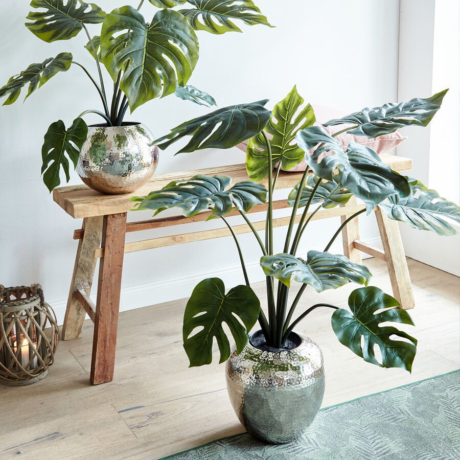 Naturgetreue tropische Monstera fr Ihre Innenrume Bild 2