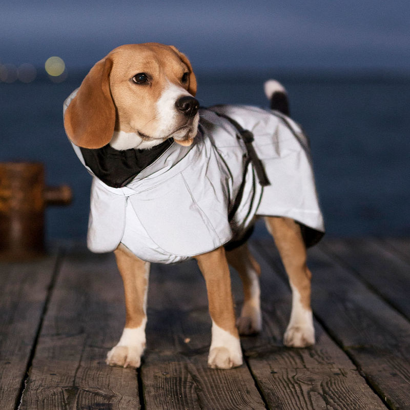 Reflektierender Regenmantel hält Ihren Hund warm und trocken Bild 2