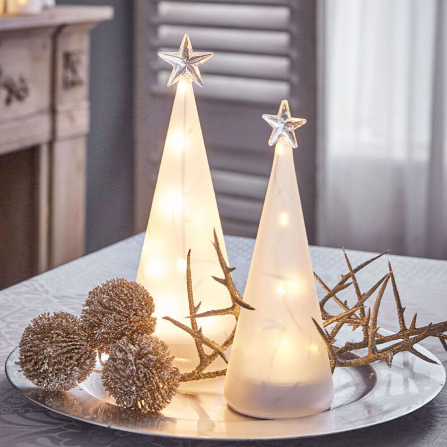 Lichterbaum erhellt die Adventszeit