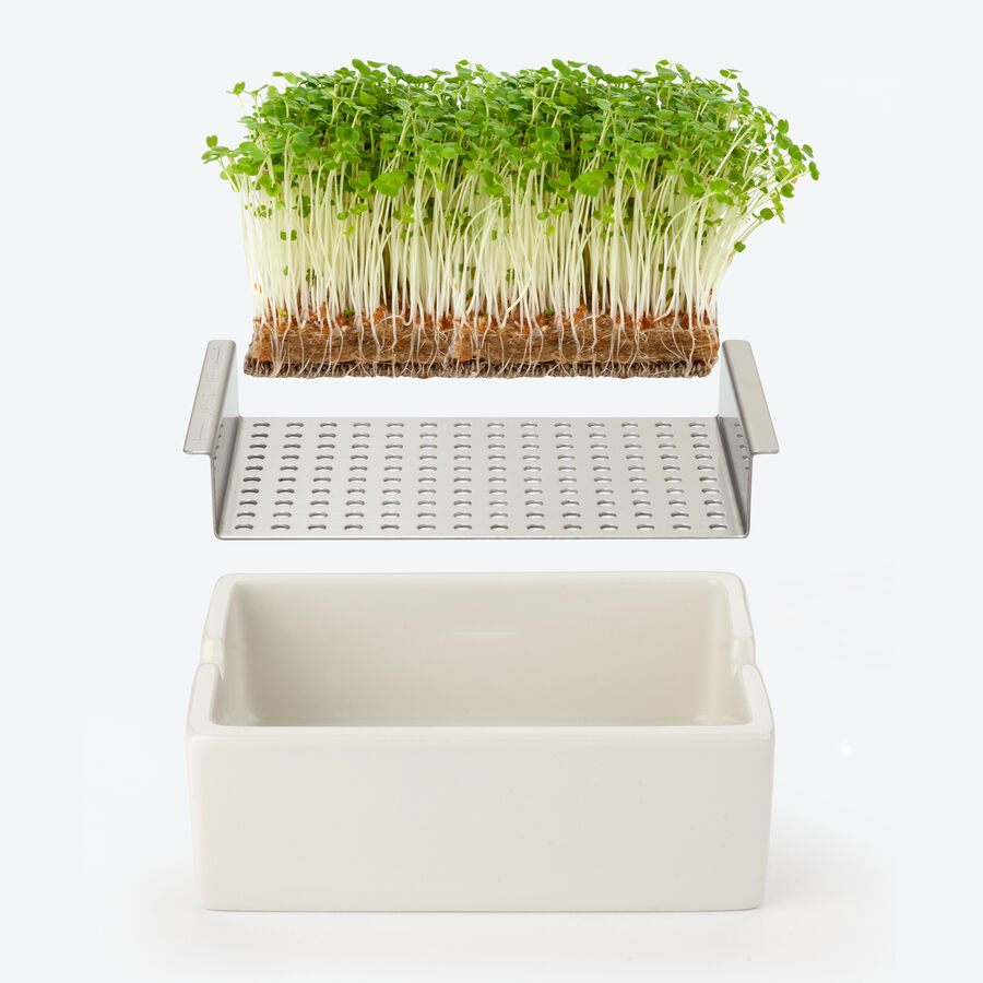 Low-Carb Bio Microgreens: Ganzjhrig gesunde frische Kruterkost