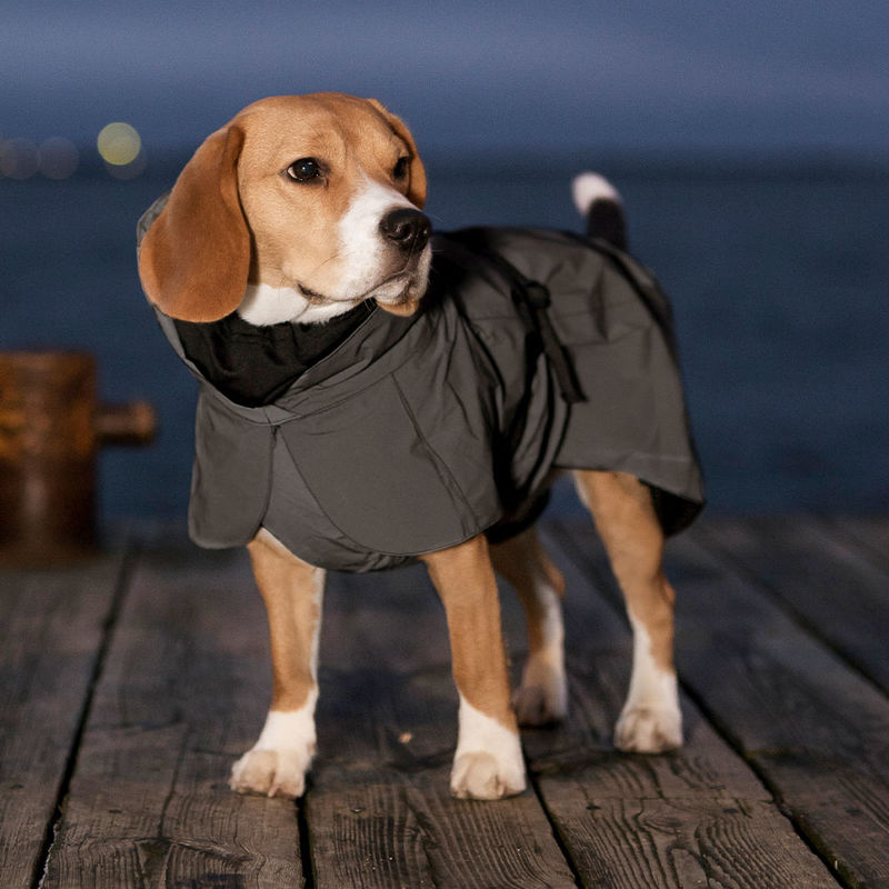 Reflektierender Regenmantel hält Ihren Hund warm und trocken