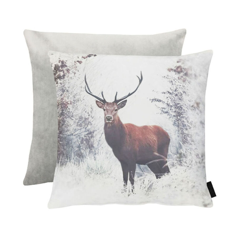Samtene Kissenhülle mit stimmungsvollem Hirsch-Porträt - Julia Grote
