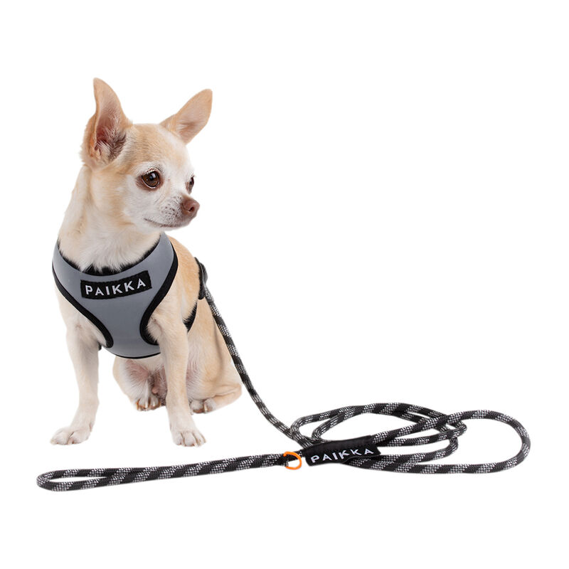 Seilleine mit Reflektierschutz für kleine Hunde
