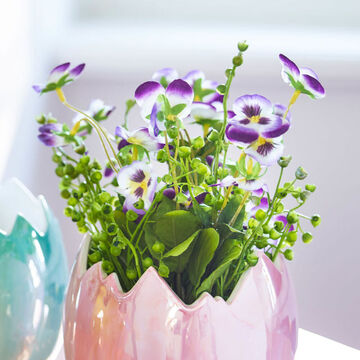 Hornveilchen-Busch: Kleiner Fr�hjahrsgru� mit gro�er Wirkung