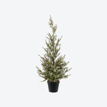 Produktbild für 'Charmante nordische Kiefer wie frisch aus dem Wald'