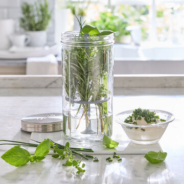 Produktbild f�r 'Kilner Kr�uterglas mit Deckel und Silikonstab'