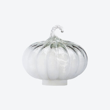 Produktbild für 'Originelle Glaskürbisse für fantasievolle Herbstdeko'
