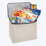 Produktbild für 'Kühltaschen-Einsatz zur Kofferraum-Einkaufstasche (Nr. 034M01)'