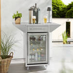 Produktbild für 'Outdoor-Kühlschrank und Bierzapfanlage'
