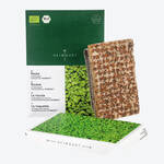 Produktbild fr 'Microgreens Saatpads Rauke: Herbe Noten vom Mittelmeer'