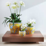 Produktbild fr 'Keramik-bertpfe im eleganten Chinoise-Stil'