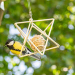 Produktbild für 'Meisenknödel-Halter: Dekorativer Sitz- und Futterplatz für Vögel'