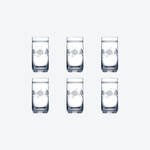 Produktbild fr 'Bhmische Kristall-Wasserglser mit filigranem Pantografie-Blumenmotiv'