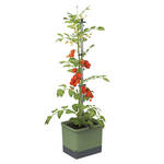 Produktbild für 'Innovatives Tomaten-Pflanztopf Starter-Set'