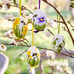Kunstvoll handbemalte Enteneier mit blühenden Frühlingsmotiven für festliche Osterdeko