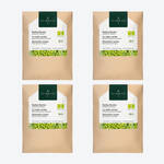Produktbild fr 'Microgreens Saatpads Radieschen: Frisch-scharfes Superfood'