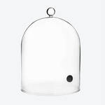 Produktbild fr 'Rucherglocke - Borosilikatglas,  18,5 cm, 25 cm hoch'