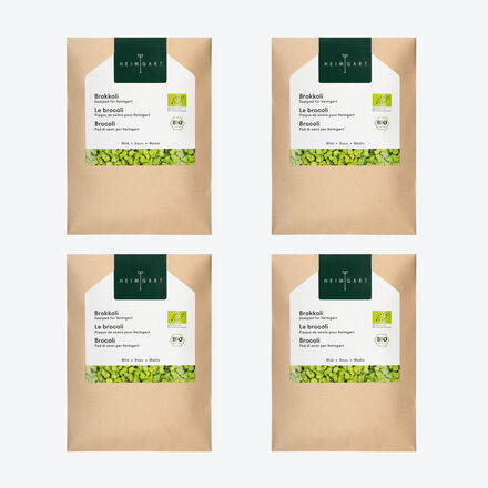 Produktbild f�r 'Bio-Microgreens Saatpads Brokkoli, 4 St�ck'