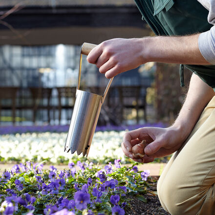 Produktbild für 'Hochwertige Blumenzwiebel-Pflanzhilfe - von der britischen RHS empfohlen'