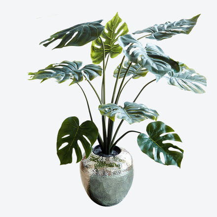 Produktbild für 'Naturgetreue tropische Monstera für Ihre Innenräume'